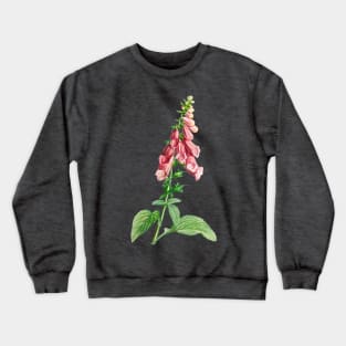 Common foxglove - Botanical Illustration Crewneck Sweatshirt